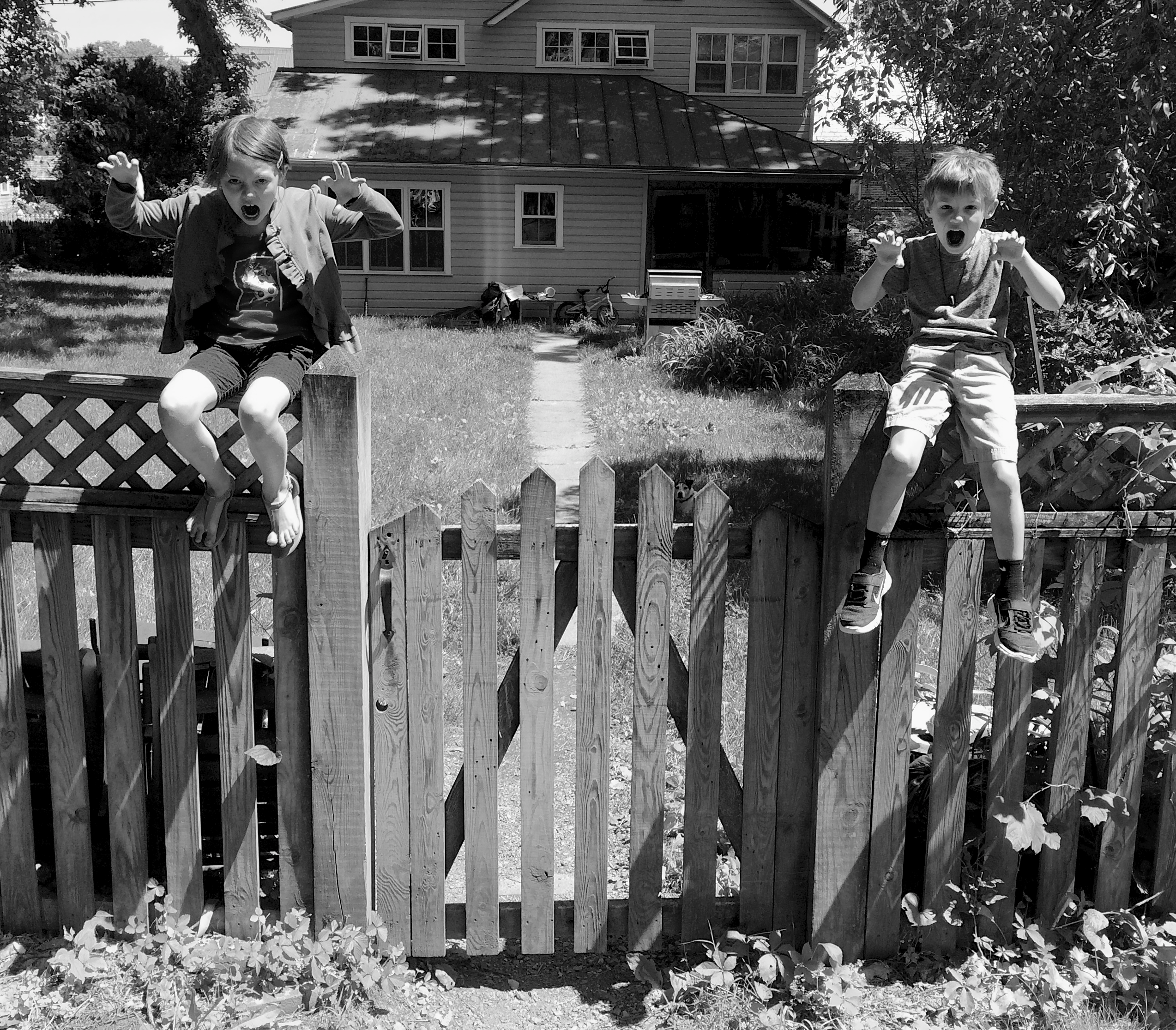 ‘Macaulay and Em as gargoyles. Two children sit on a wooden fence in a backyard, posing like gargoyles with playful expressions and raised hands mimicking claws. The background features a house with multiple windows and a metal roof, along with a grassy path and scattered bicycles. The image is in black and white.’